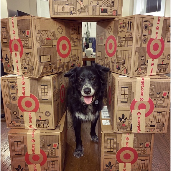 Meet your Posher, Maya - Picture 1 of 6